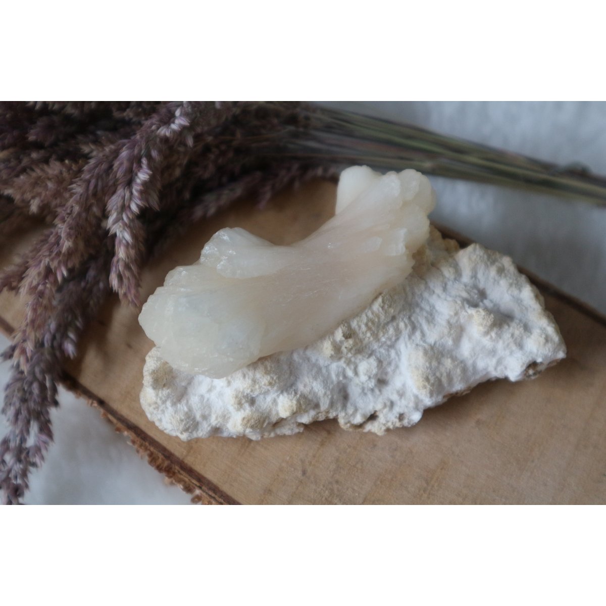 Stilbiet - Afbeelding 2